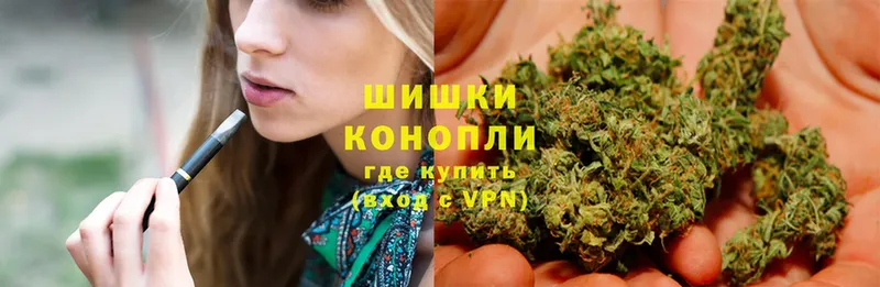 Каннабис OG Kush  купить   Десногорск 